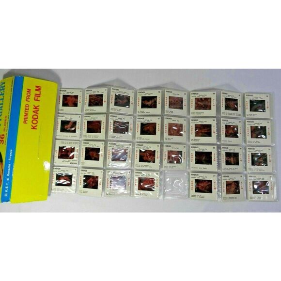 Pitti Gallery Florence 35 Souvenir Slides on Kodak Film Museum Photos Vintage - Picture 2 of 4